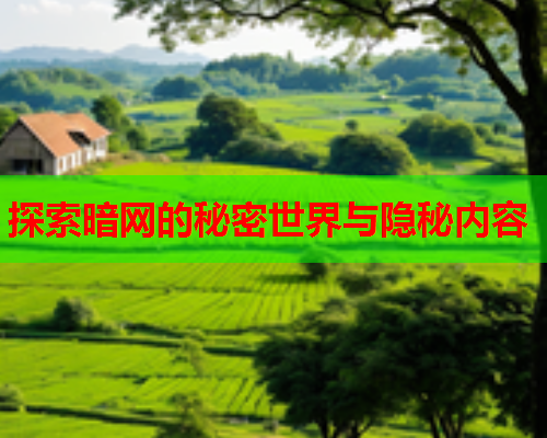 探索暗网的秘密世界与隐秘内容