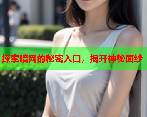 探索暗网的秘密入口，揭开神秘面纱