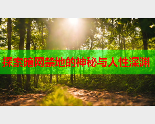 探索暗网禁地的神秘与人性深渊