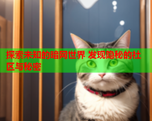 探索未知的暗网世界 发现隐秘的社区与秘密