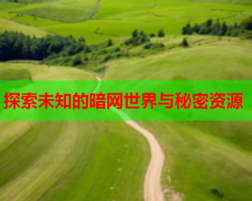 探索未知的暗网世界与秘密资源