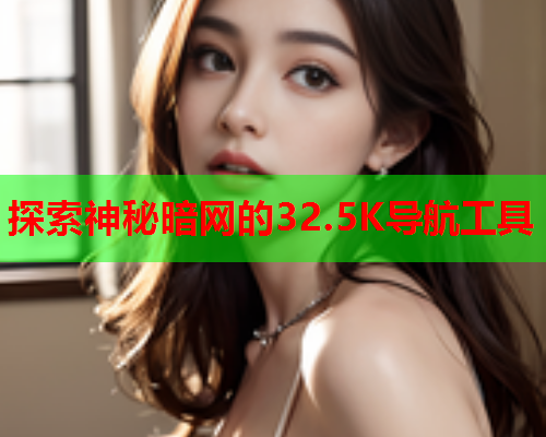 探索神秘暗网的32.5K导航工具