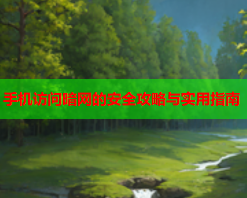 手机访问暗网的安全攻略与实用指南