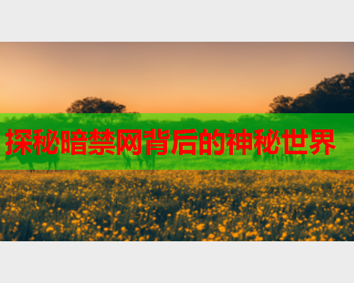 探秘暗禁网背后的神秘世界