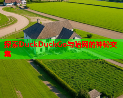 探索DuckDuckGo与暗网的神秘交集