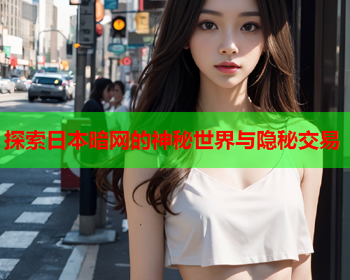 探索日本暗网的神秘世界与隐秘交易