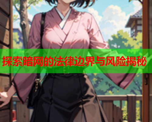 探索暗网的法律边界与风险揭秘