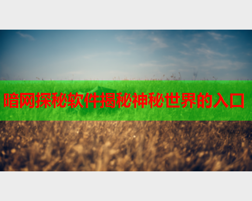 暗网探秘软件揭秘神秘世界的入口