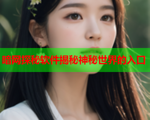 暗网探秘软件揭秘神秘世界的入口