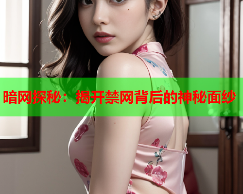 暗网探秘：揭开禁网背后的神秘面纱