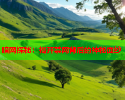 暗网探秘：揭开禁网背后的神秘面纱