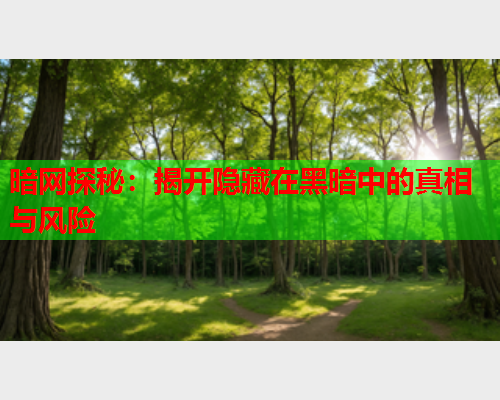 暗网探秘：揭开隐藏在黑暗中的真相与风险