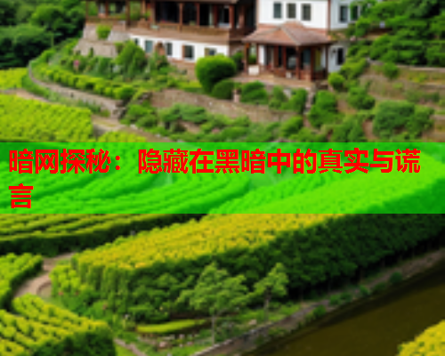 暗网探秘：隐藏在黑暗中的真实与谎言