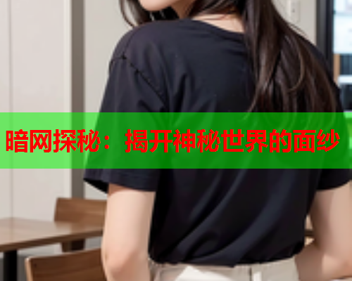 暗网探秘：揭开神秘世界的面纱