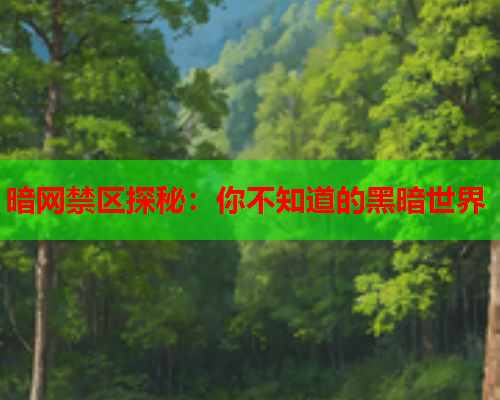 暗网禁区探秘：你不知道的黑暗世界