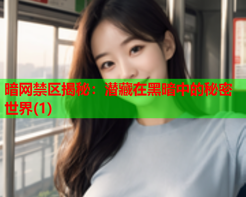 暗网禁区揭秘：潜藏在黑暗中的秘密世界(1)