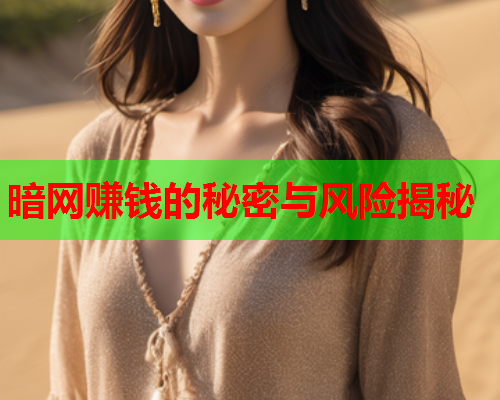 暗网赚钱的秘密与风险揭秘