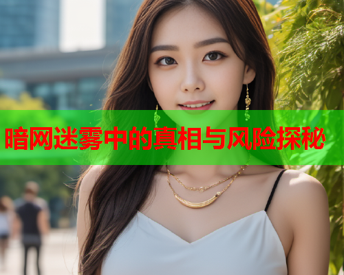 暗网迷雾中的真相与风险探秘