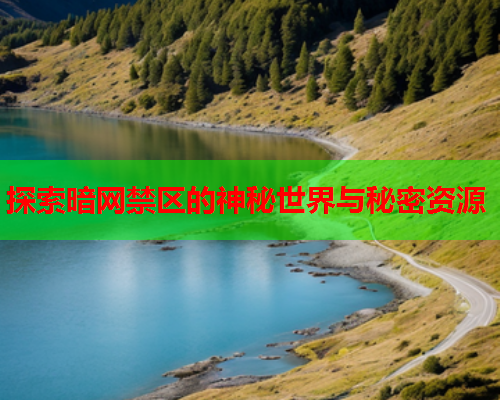 探索暗网禁区的神秘世界与秘密资源