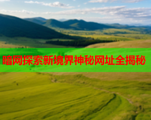 暗网探索新境界神秘网址全揭秘