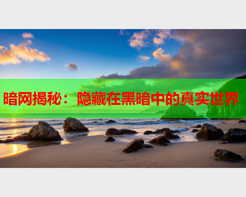 暗网揭秘：隐藏在黑暗中的真实世界
