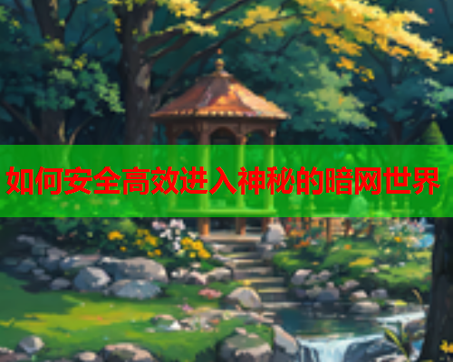 如何安全高效进入神秘的暗网世界