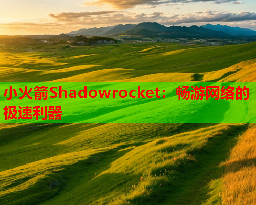 小火箭Shadowrocket：畅游网络的极速利器