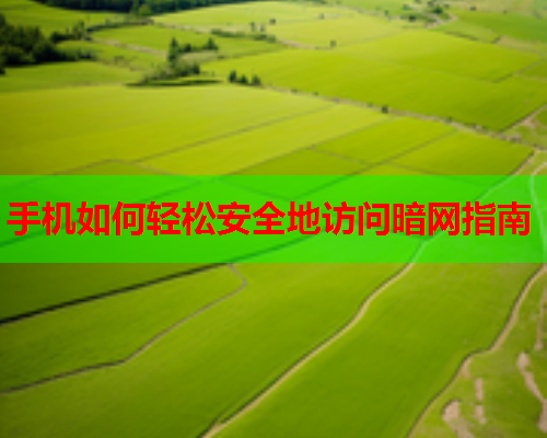 手机如何轻松安全地访问暗网指南