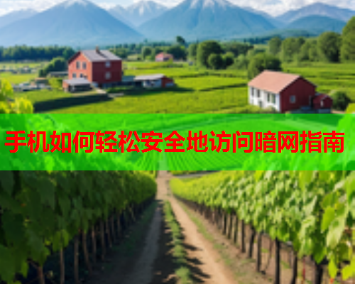 手机如何轻松安全地访问暗网指南