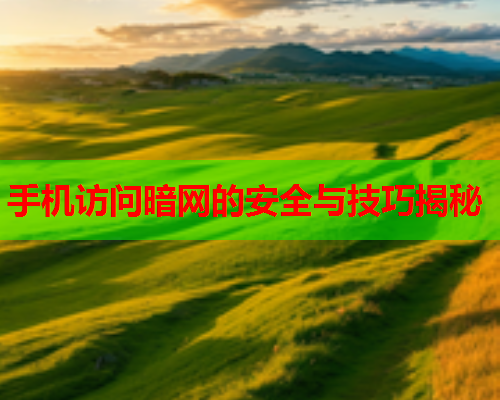 手机访问暗网的安全与技巧揭秘