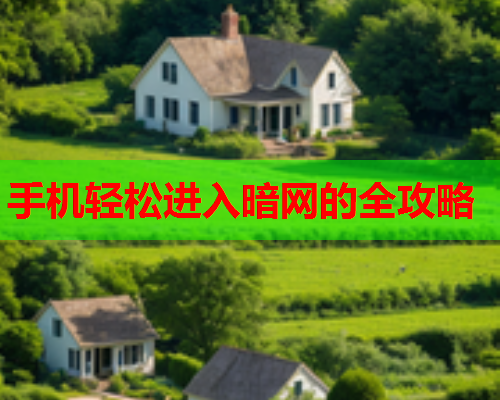 手机轻松进入暗网的全攻略
