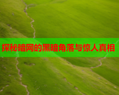 探秘暗网的黑暗角落与惊人真相