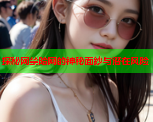 探秘网禁暗网的神秘面纱与潜在风险