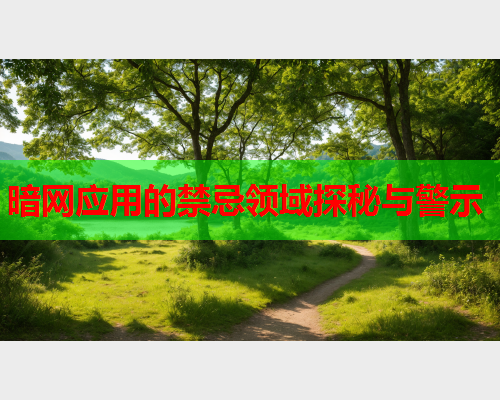 暗网应用的禁忌领域探秘与警示