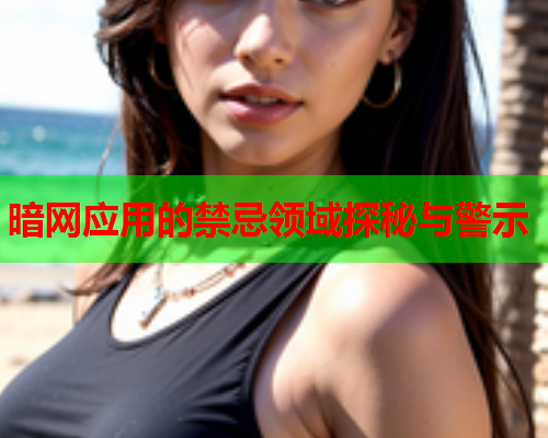 暗网应用的禁忌领域探秘与警示