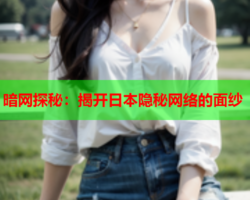 暗网探秘：揭开日本隐秘网络的面纱