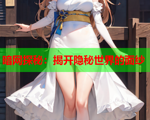 暗网探秘：揭开隐秘世界的面纱