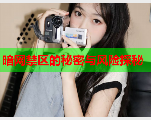 暗网禁区的秘密与风险探秘