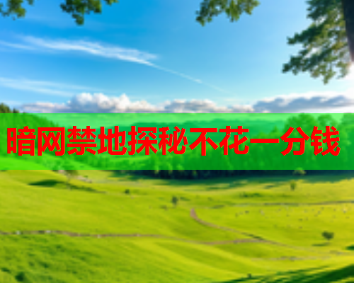 暗网禁地探秘不花一分钱