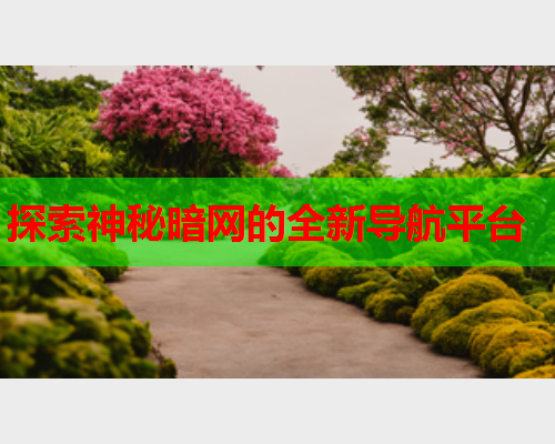 探索神秘暗网的全新导航平台