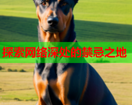 探索网络深处的禁忌之地