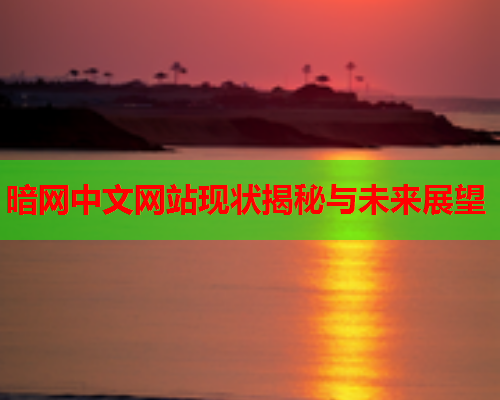 暗网中文网站现状揭秘与未来展望