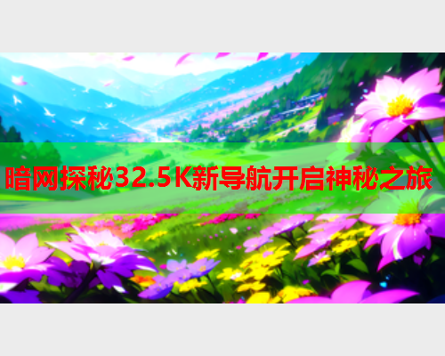 暗网探秘32.5K新导航开启神秘之旅