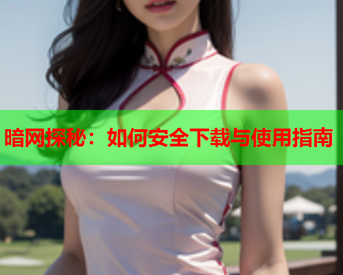 暗网探秘：如何安全下载与使用指南