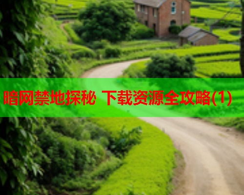 暗网禁地探秘 下载资源全攻略(1)