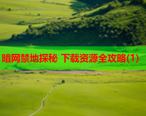 暗网禁地探秘 下载资源全攻略(1)