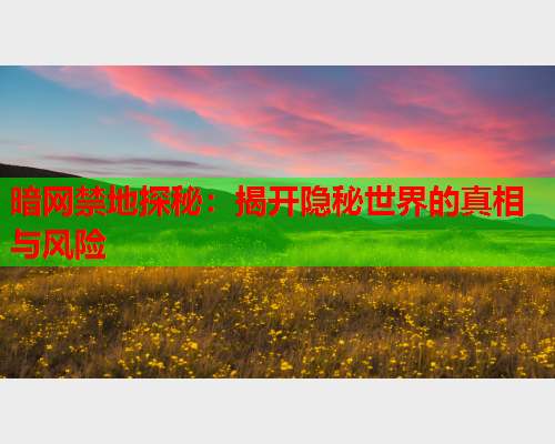 暗网禁地探秘：揭开隐秘世界的真相与风险
