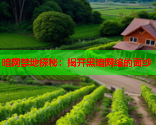 暗网禁地探秘：揭开黑暗网络的面纱
