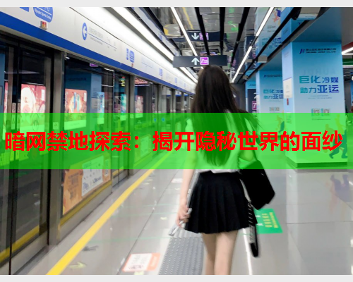 暗网禁地探索：揭开隐秘世界的面纱