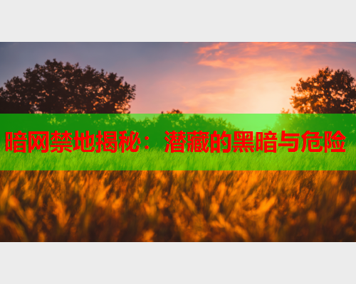 暗网禁地揭秘：潜藏的黑暗与危险